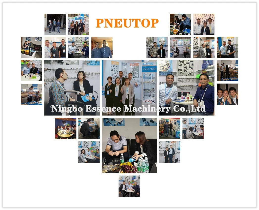 
OEM high pressure garden hose quick connect misting fittings Outdoor Cooling Solutions with Misting and Fogging System 