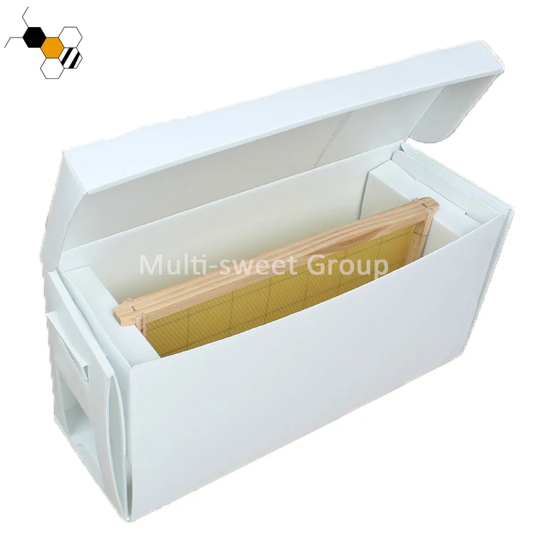 Polypropylene cardboard bee box 5 frames plastic nuc box suitable for dadant frame