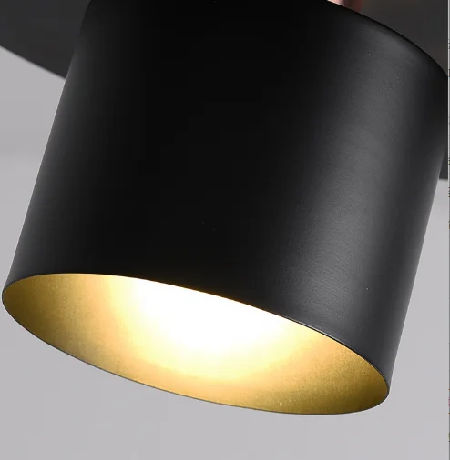 Simple Indoor Lighting Nordic Simple Lamp Creative Ceiling Light Decorative Chandelier Modern Hanging Light