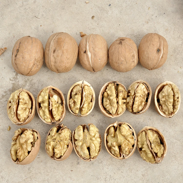 New Crop Fresh Peeled walnut kernels xin 2 thin walnut kernels from Xinjiang Organic walnut kernels