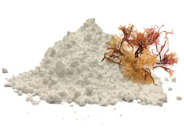 Carrageenan  E407 CAS 9000-07-1food thickener kappa refined/semi-refined carrageenan Iota semi refined carrageenan