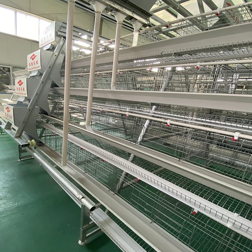 Uganda Poultry Farm Automatic Poultry Chicken Layer Breeding Cage