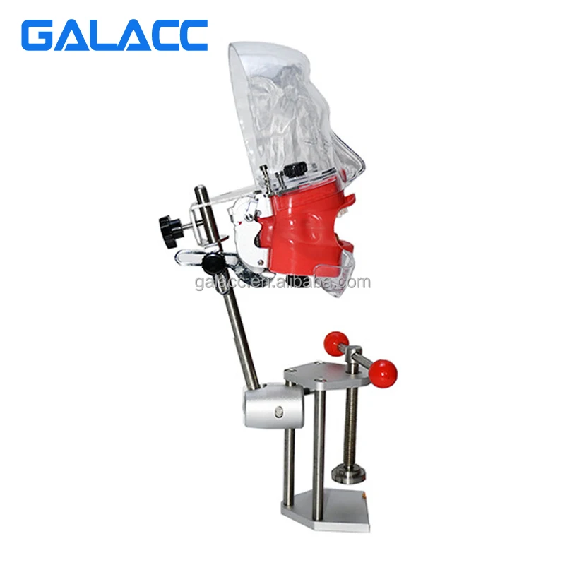 Simple Dental Head Model T Dental Phantom Head Model Simulator Human Body Model Kits To Assemble Goods