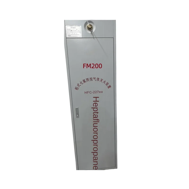 Gas Cylinder Cabinet Fm200 Suppression System HFC-227ea Fire protection Equipment