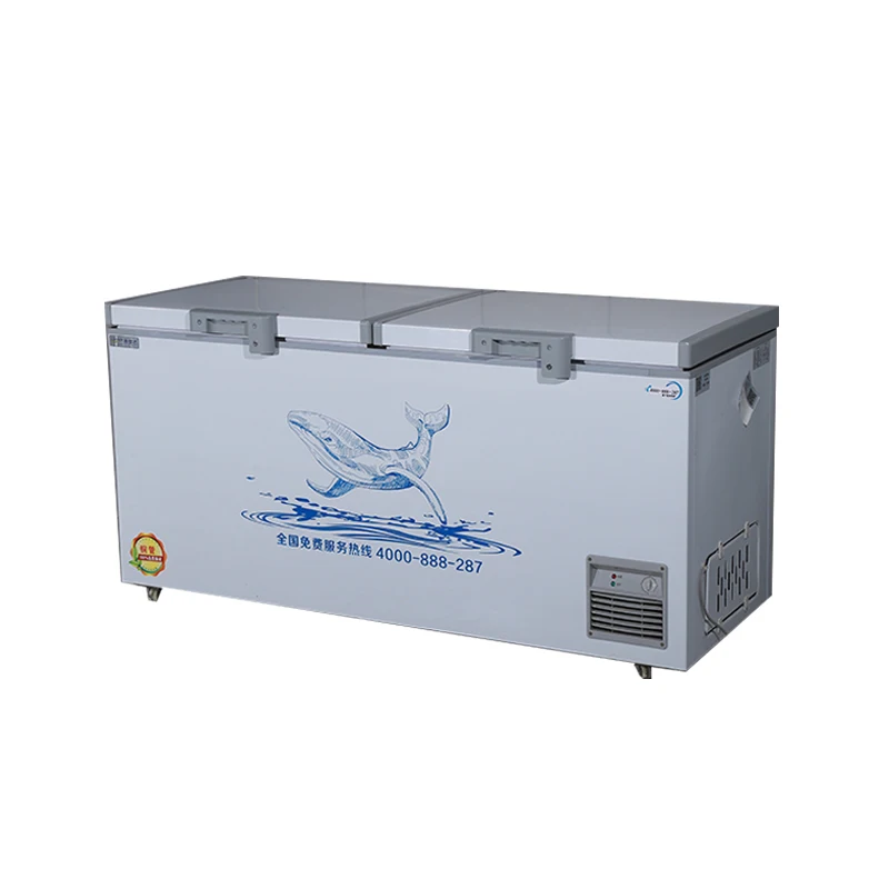Professional design 220V/50HZ stainless steel 304/201 horizontal freezer for catering
