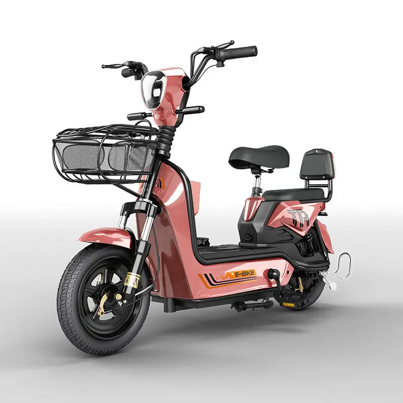 Two Wheeled Electric Bicycle Bike for Adults 450W 48V Battery Part