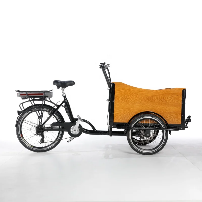 Front Loading with 4 baby safety belts dutch cargo bike 3 wheel bicycle three wheels adults cargo bike bakfiets