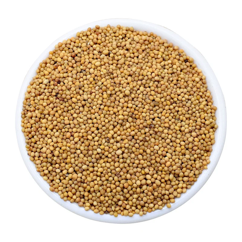 2022 the newest crop China spices supplier wholesale factory directory sell high quality yellow mustard seeds with low price.