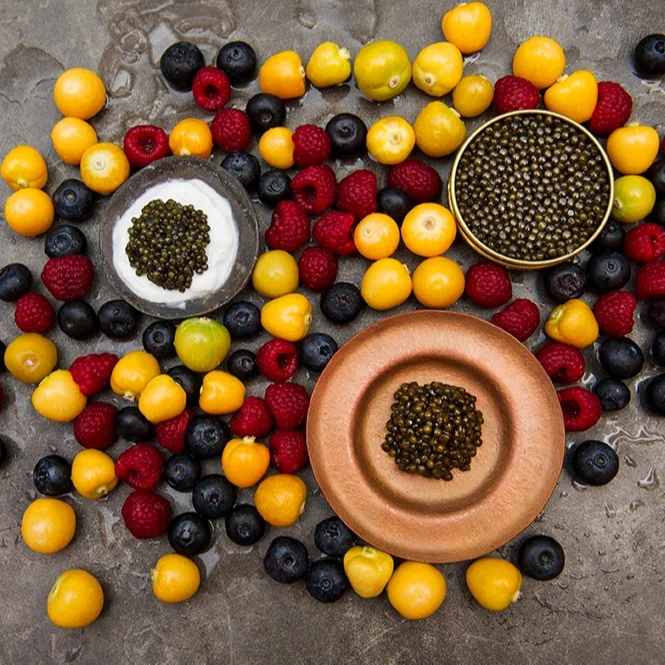 Popular best selling caspian caviar gold eggs for Russian