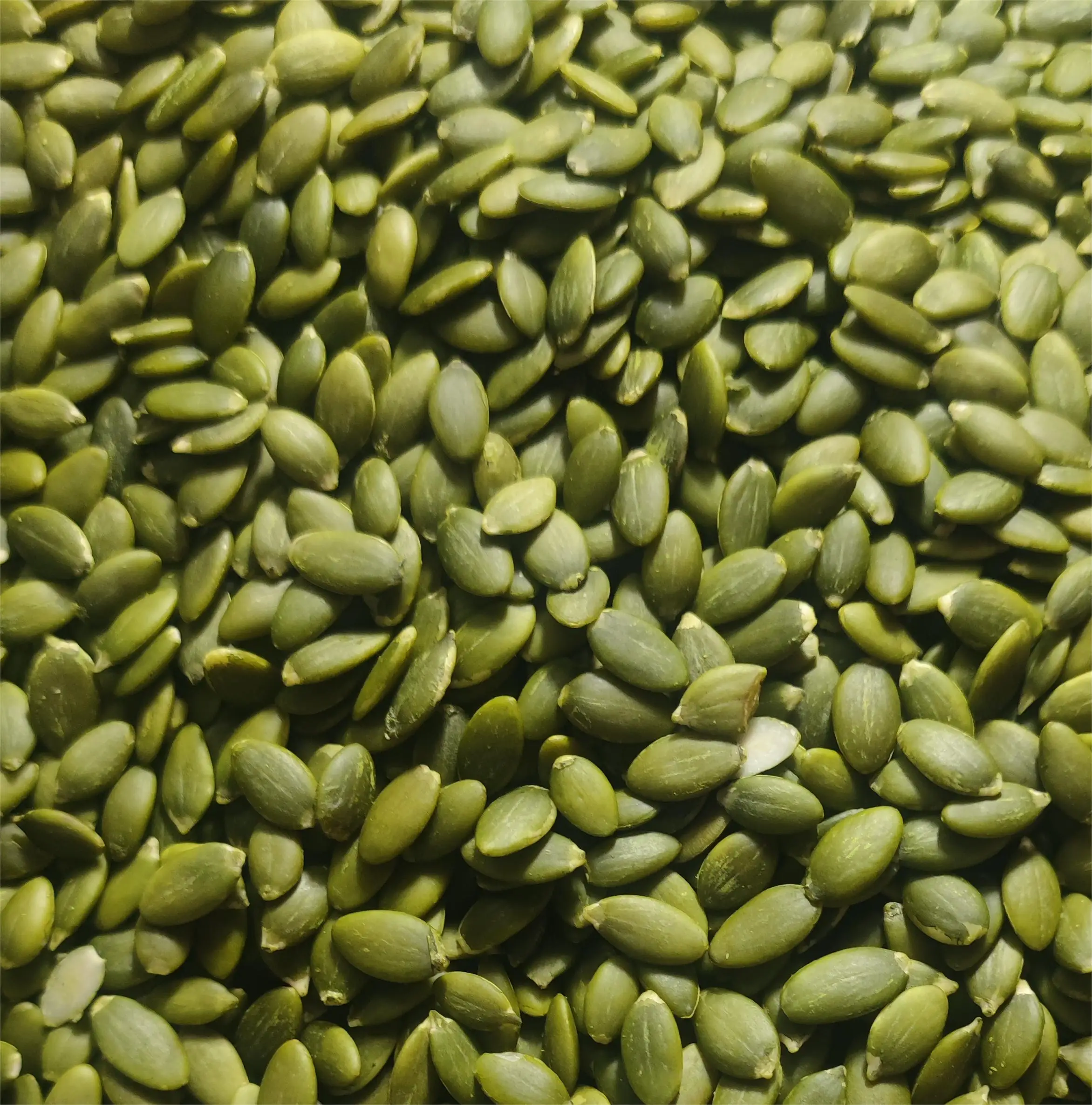 China factory supplier hot selling delicious pure natural pumpkin seed kernels roasted  pumpkin seed