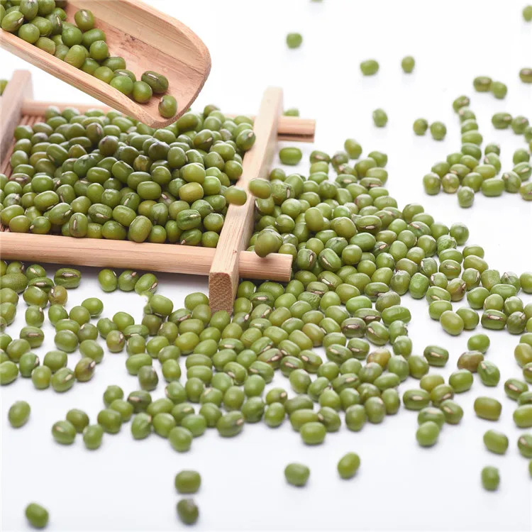  Factory Price Small Mung Bean Vacuum Packing Export Green