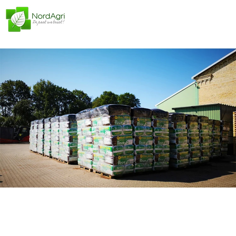 Competitive Price Sphagnum Natural Peat Moss