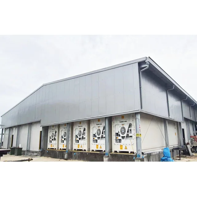 large-scale steel structure prefabricated milk parlor  prebuilt yogurt/juice/pure water processing plant shed house building