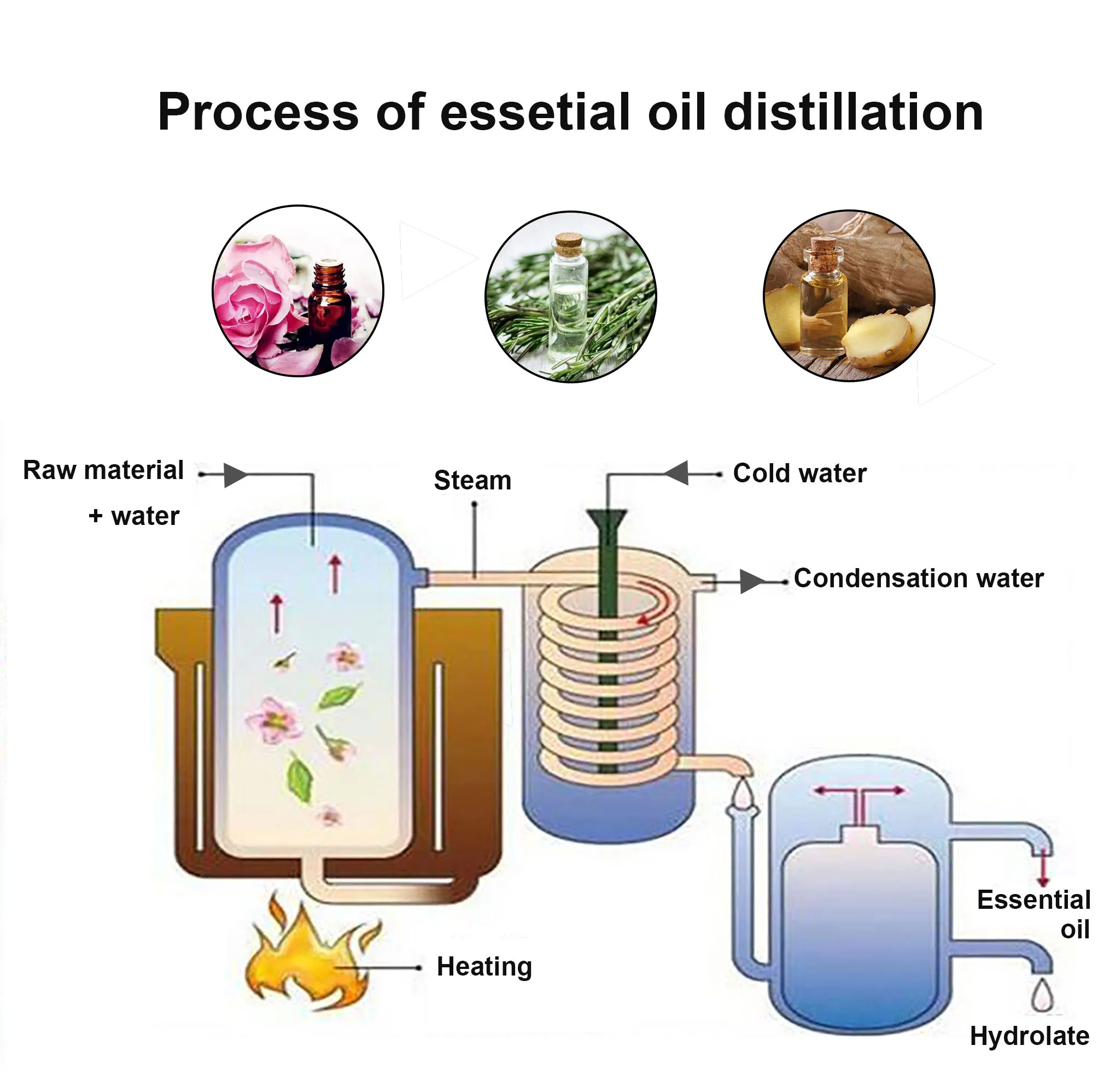 Ruiyuan Wholesale frankincense essential oil distillation equipment hemp essential oil extractor