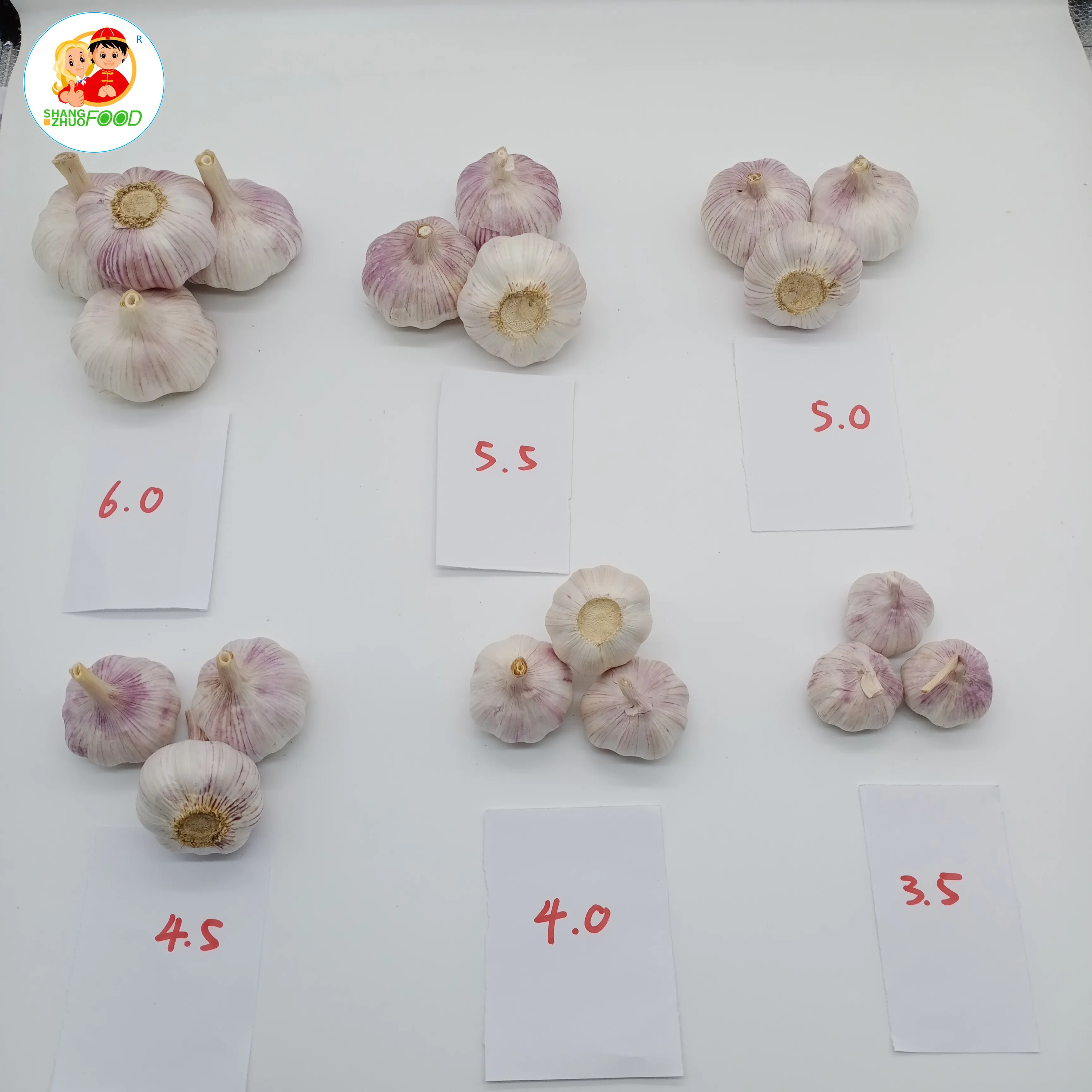 Fresh Garlic  Normal White Garlic 5.0 cm Up Supply China natural garlic in low price for sale