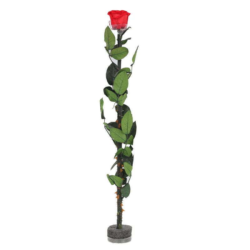
50 см Заводская поставка, декоративная роза с стволом, сохраненная Роза для подарка на день рождения 