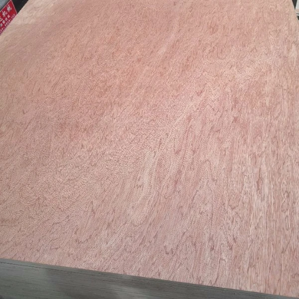 ForaKing Linyi factory 3mm 5mm 9mm 12mm 15mm 18mm Bintangor plywood/okoume plywood/red hardwood plywood with competitive price