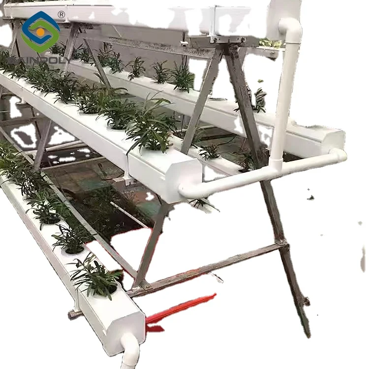 Sainpoly лидер продаж недорогие сельскохозяйственные теплицы Гидропонные для производства овощей на продажу