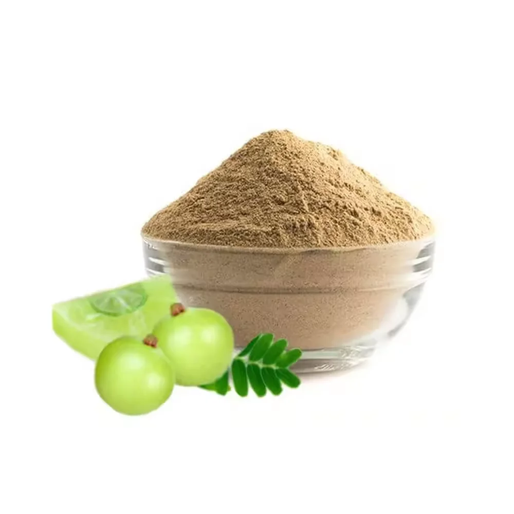 High Quality Wholesale Amla Fruit Extract Powder 100% Pure Natural Packaged in Plastic Container from Indian Supplier
