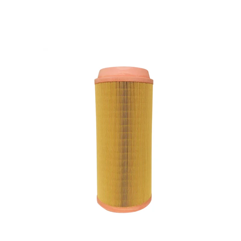Wholesale Replacement Cartridge Air Conditioning Filter Element C16400 1613740700/2116040014 AF25721 P778972