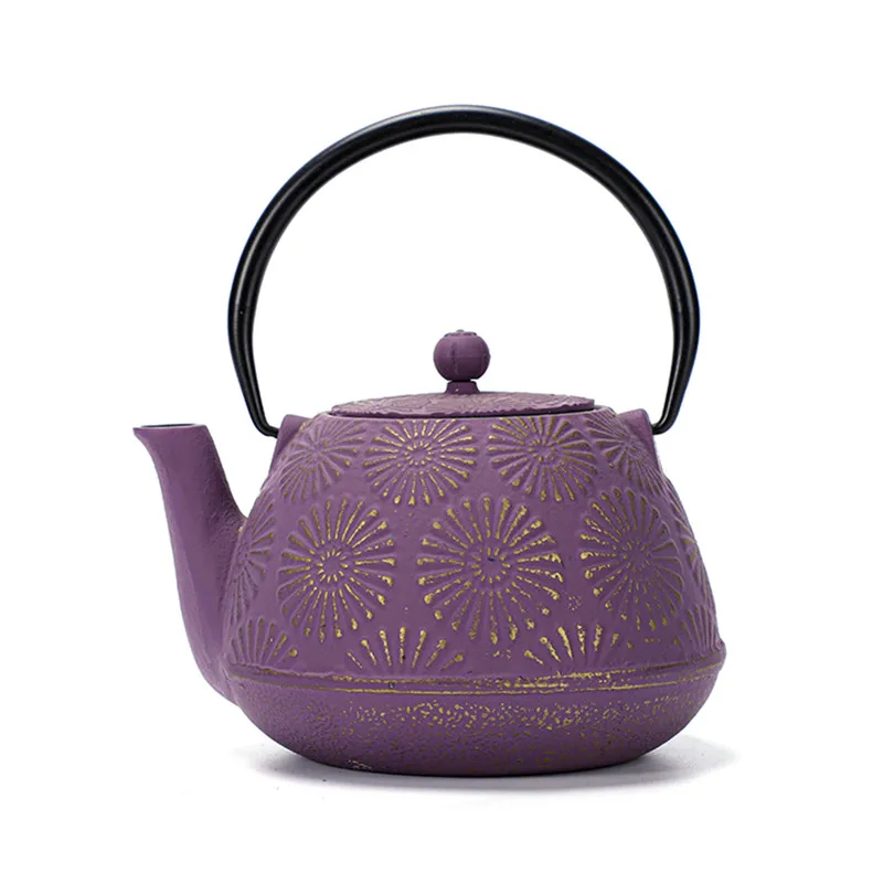 cast iron teapot (69)