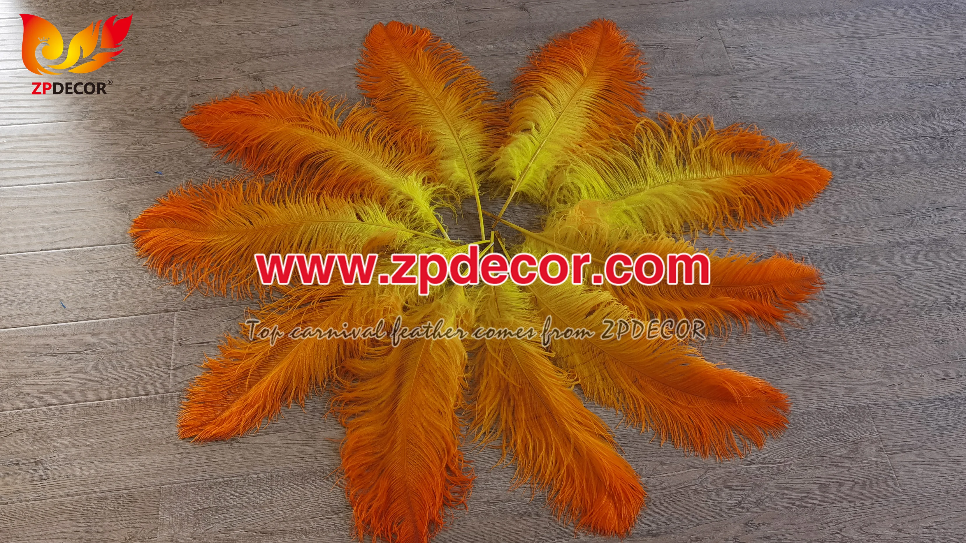 ZPDECOR Factory Wholesale Top Quality Large Ostrich Feathers Dyed 3 Colors Gradient for Carnival Costumes Design
