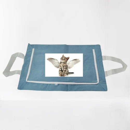 Customized European Style Animal Pet Coffin Dead Body Bag for Funerals