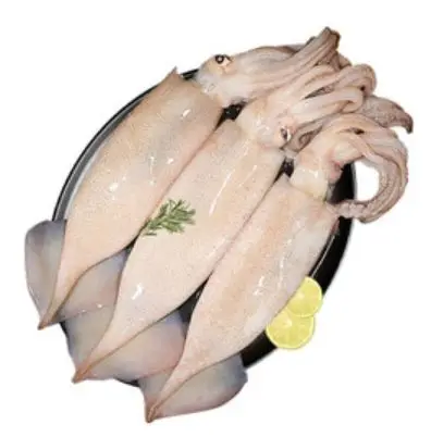 frozen illex squid whole round Chinese Loligo Squid frozen illex squid for sale