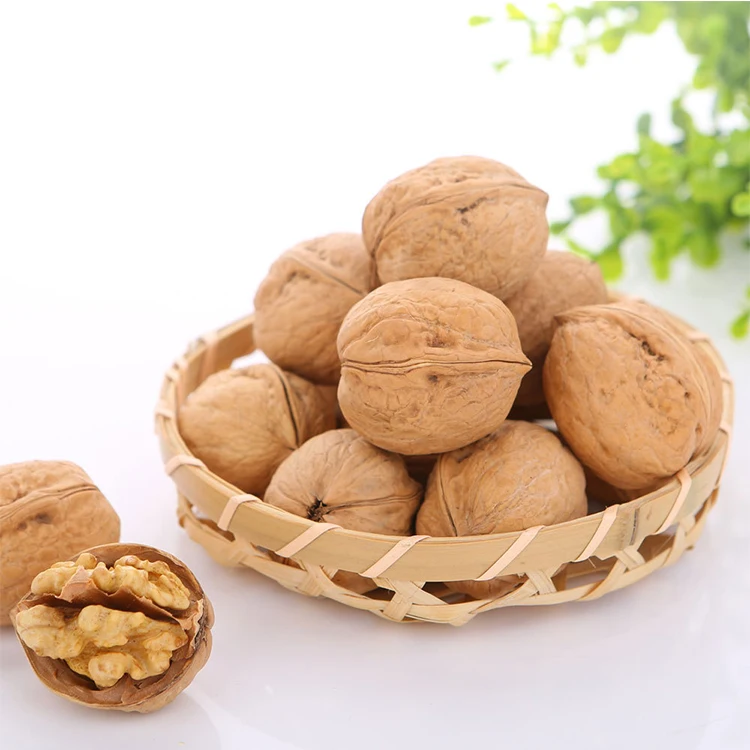 Wholesale low price fresh nutritious nutritious walnut with large kernel and thin shell