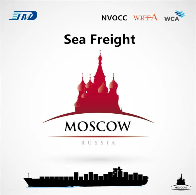 Международная логистика Китая, экспорт свежего лука, морская доставка, бесплатная доставка в Россию, Беларусь, Украину