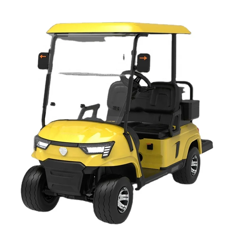 Chinese manufacturer ZYCAR 2 seat electric golf cart golf car off road golf buggy for sale