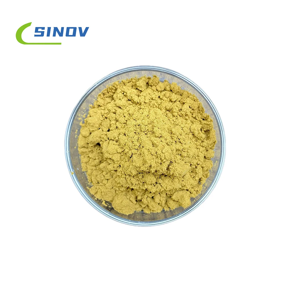 Plant Extract Kava Root Extract 10%-70%Powder  Kavalactone