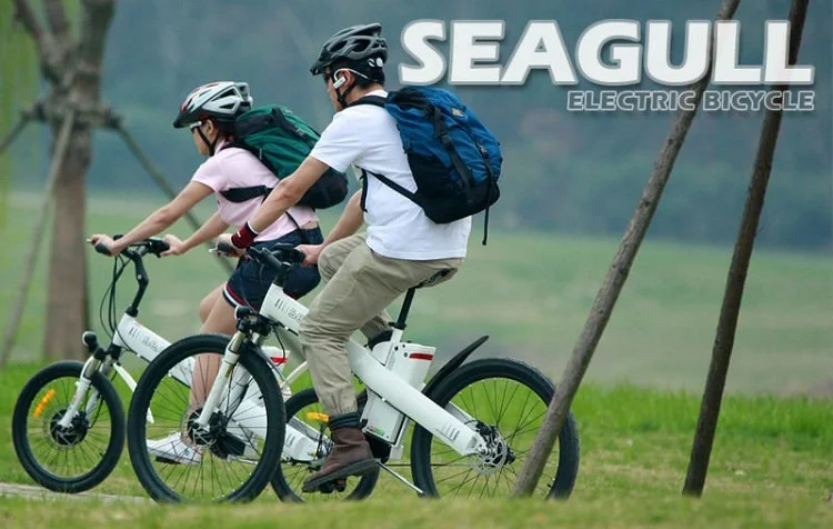 Популярные внедорожный ebike 500w 750w Электрический горный велосипед полная подвеска вилка Сделано в