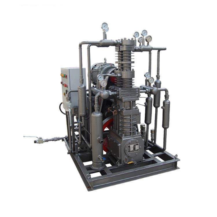 New Oil-Lubricated Labyrinth Piston Compressor Air Cooled Screw Air Compressor with Engine Motor and Bearing Core Components