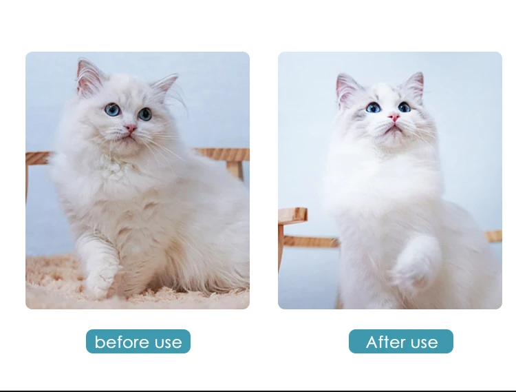 New Arrival Super Pet Hair Dryer Hot And Cold Hair Blower Cat Dog Hair Grooming Dryer