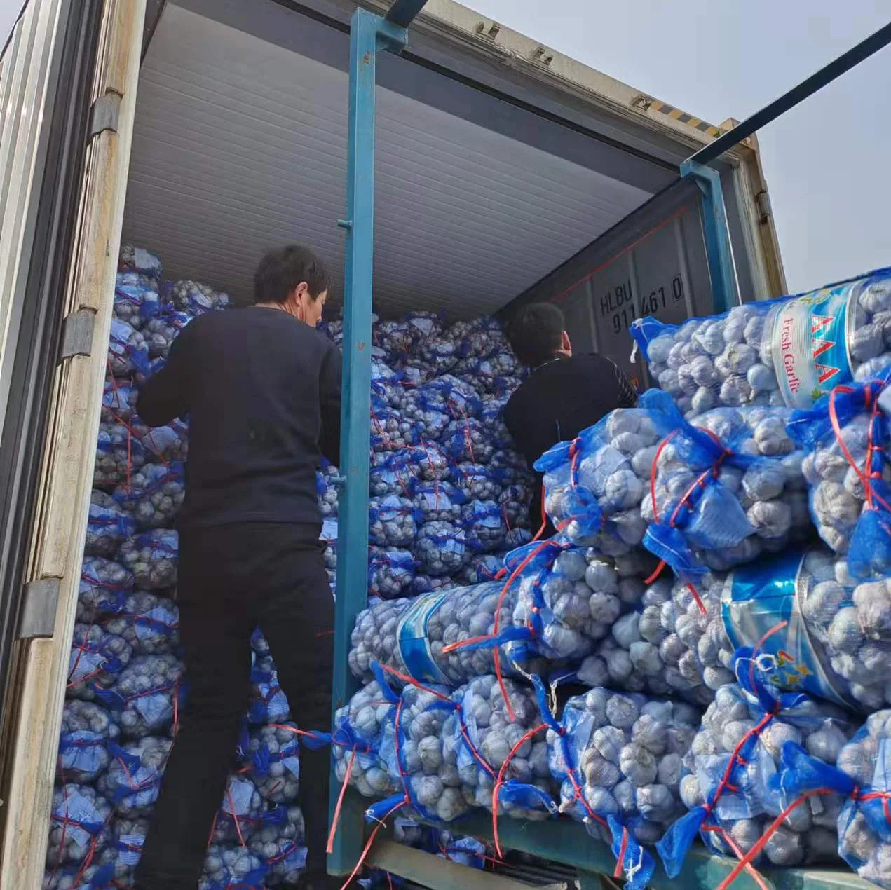 5.5 cm factory pure white fresh garlic price  2023 new fresh garlic from China white garlic