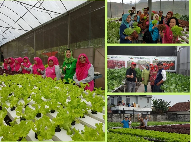 Hidroponia En Tubos De Hydroponic Pvc квадратная труба стандартная система nft канал Гидропоника