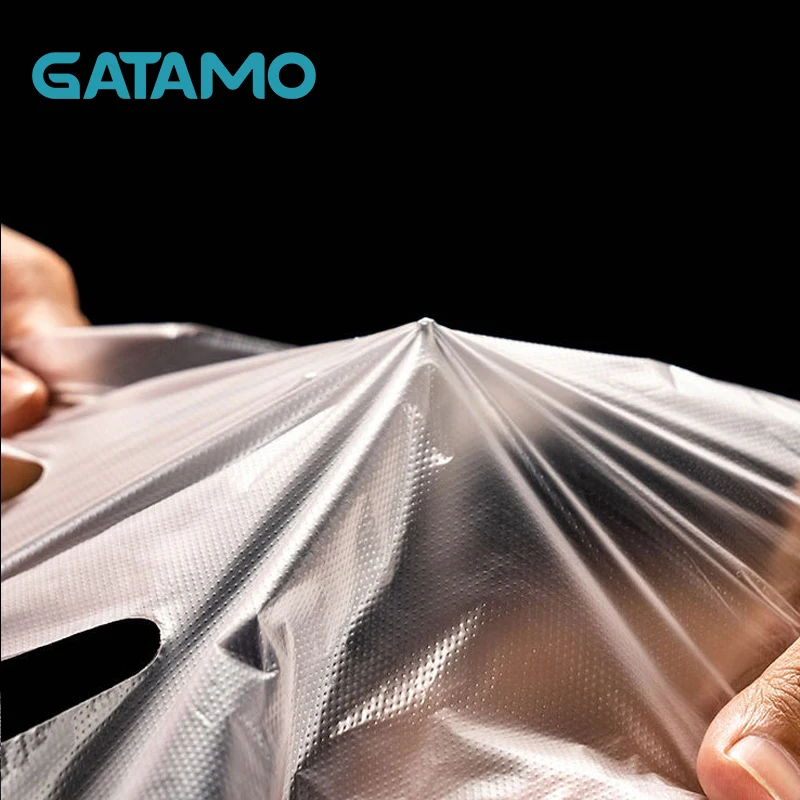 
C2 high quality fast ship manufacturing blocked food grade cheap transparent clear household pe disposable plastic gloves 