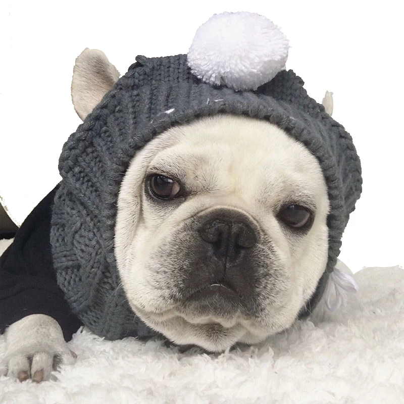 Pet French Bulldog hat colorful cute hat custom woven label winter knitted beanie hat with ball pet dog accessories plush puppy