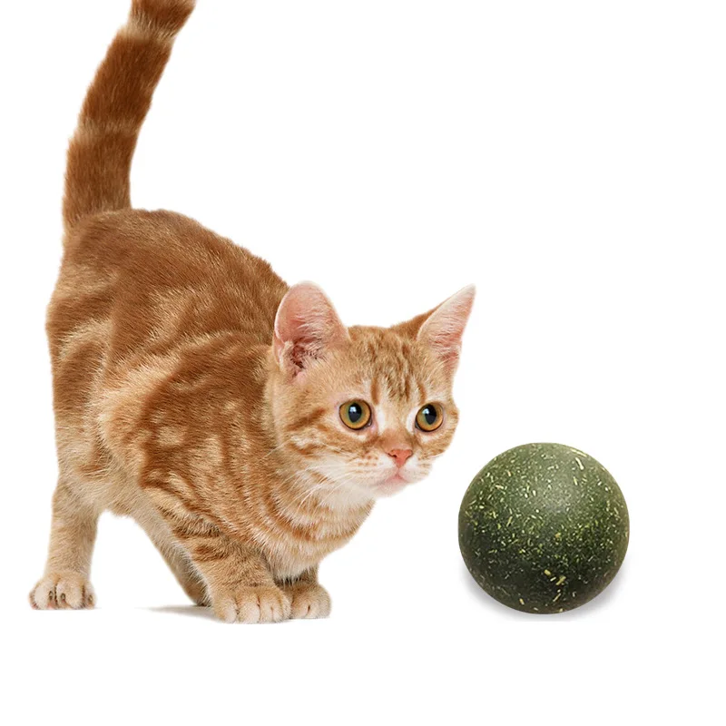 Pet Catnip Toys Edible Catnip Ball Safety Healthy Cat Mint Home Chasing Game Toy Products Clean Teeth The Stomach Catmint