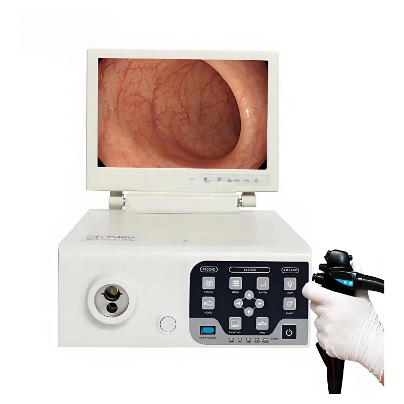 ALL IN ONE Veterinary Gastroscope for Animal Stomach Examination