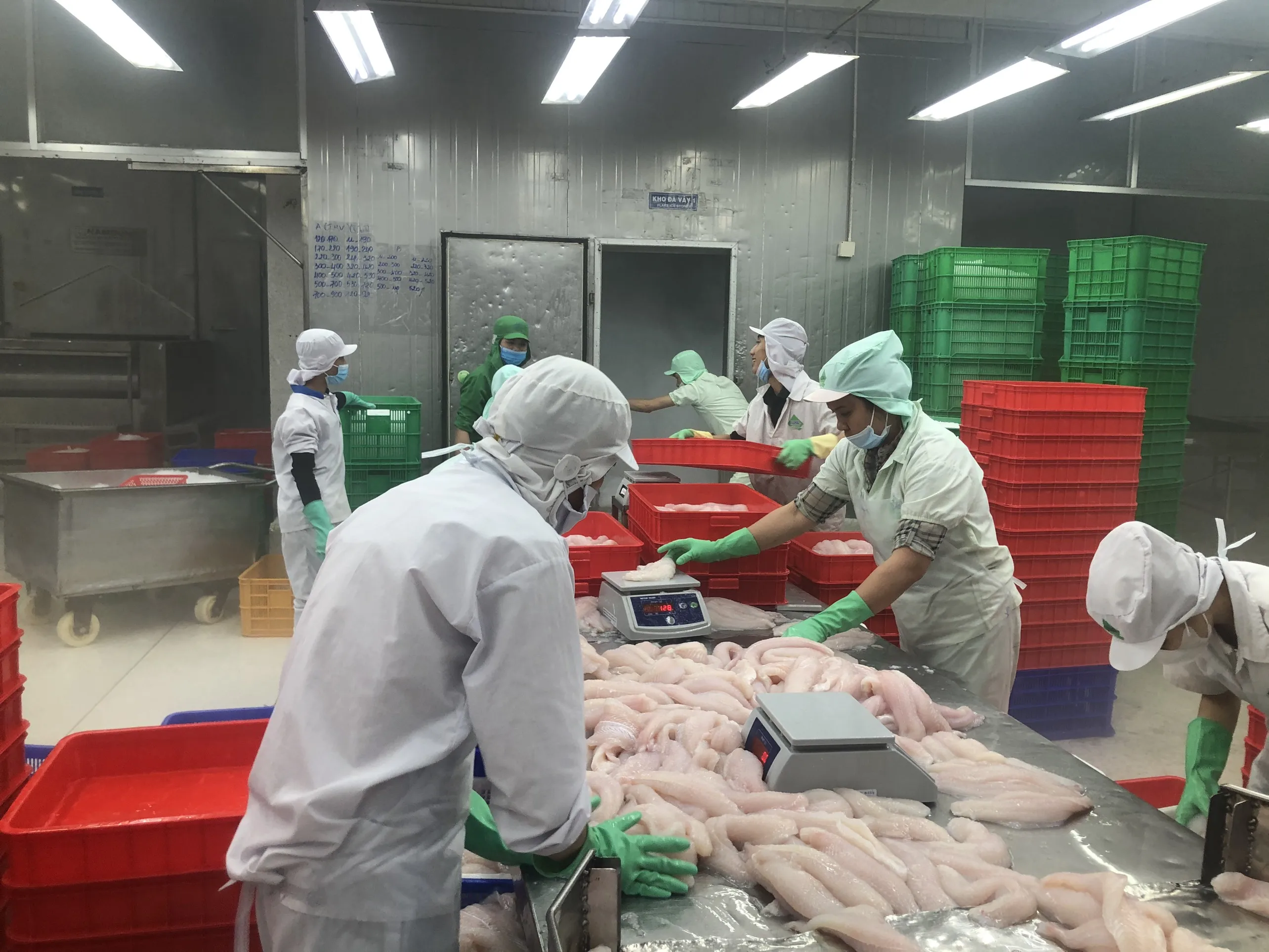Wholesale Frozen Basa fish fillet skin on Made in VietNam
