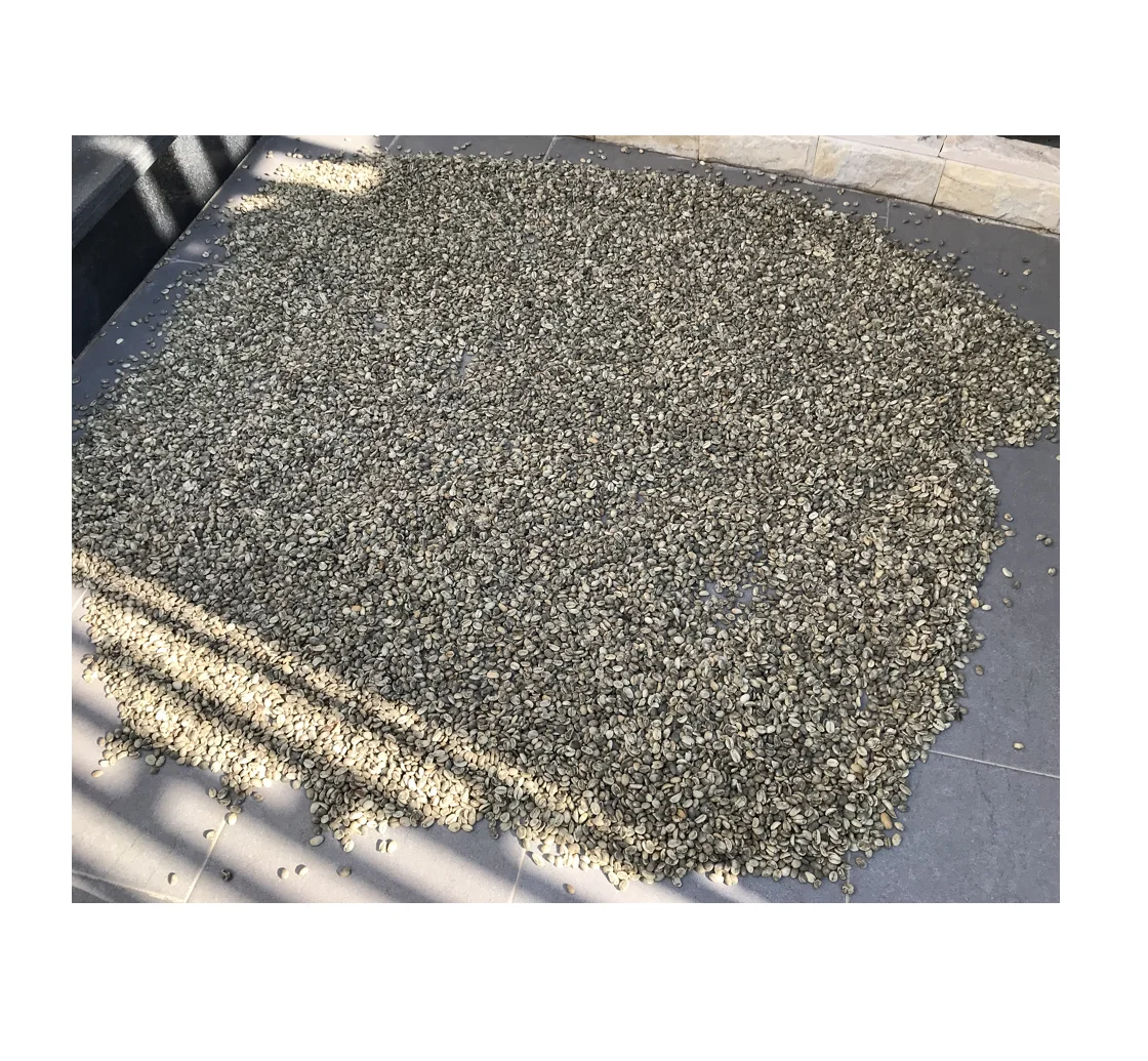 
Best Price Arabica Robusta Green Coffee Bean Made in Vietnam 