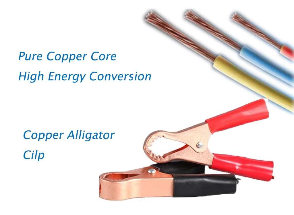 Portable Automatic Intelligent Charging Mode 6V/12V 15a Car Battery