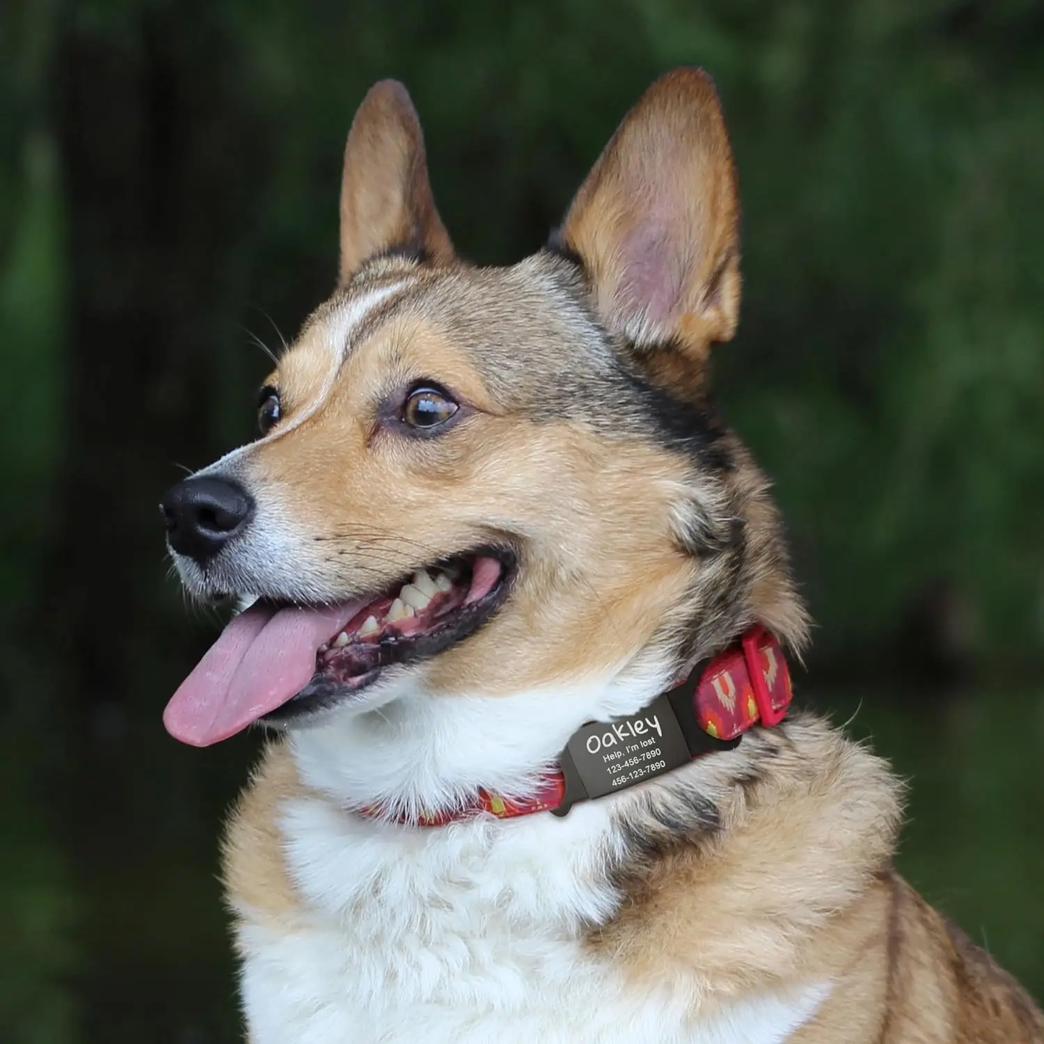 Dog Collar Name Personalized Cat Tags Slide on Pet Tag ID Silent Custom Dog Tags Engraved Cat Name Customized