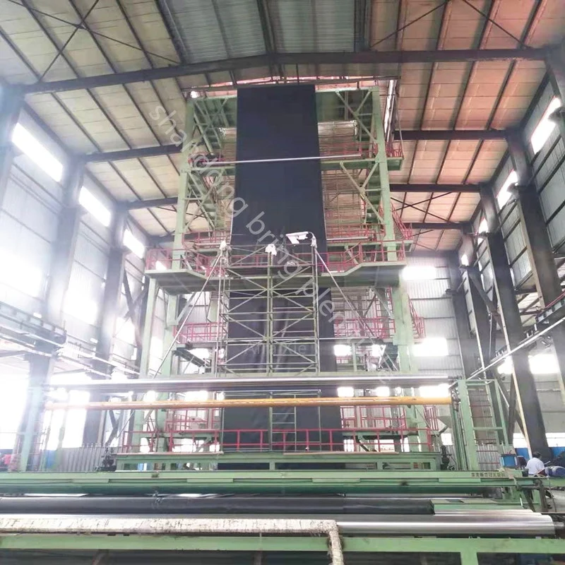 Пруд Лайнер Индия рыбы пруд вкладыши для креветок прудов