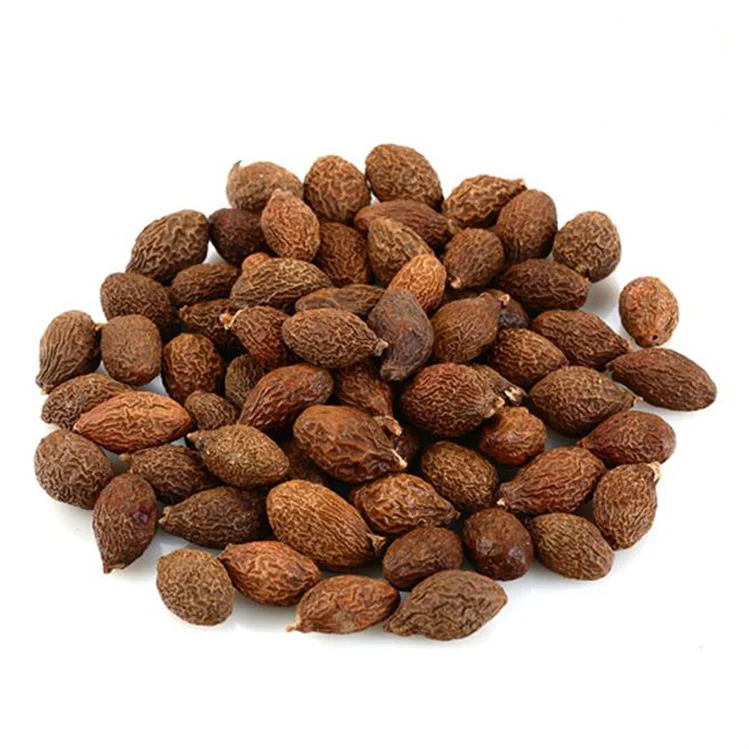 China Scaphium Scaphigerum /dried Malva Nut/ Sterculia Lychnophora For Drinking Best Price