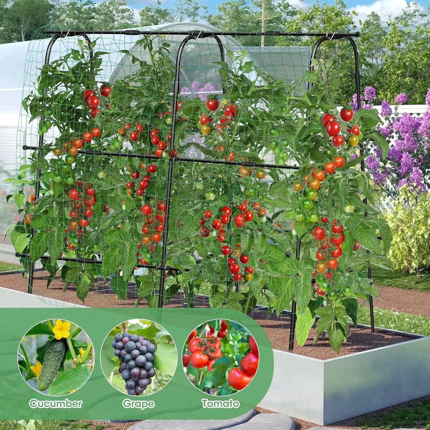 Charming Decoration Garden Arch Trellis Rustproof  Metal Climbing Frame For Vine Vegetable And Fruit