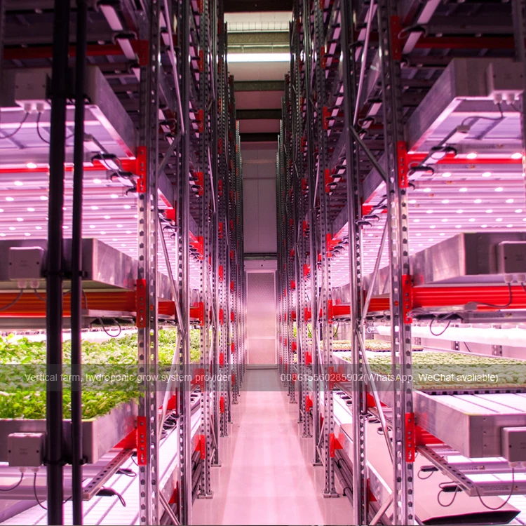 Commercial Cold Vertical hydroponic farming system kits