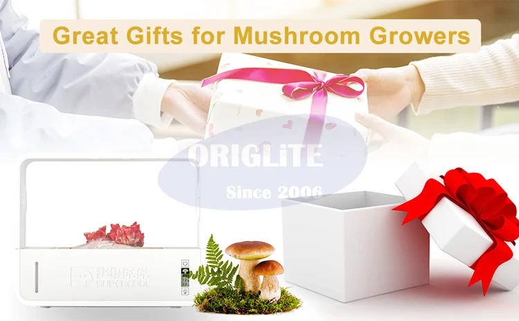 mushroom germination kit